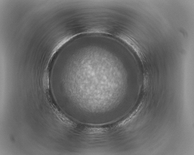 X0000115510925200911201636