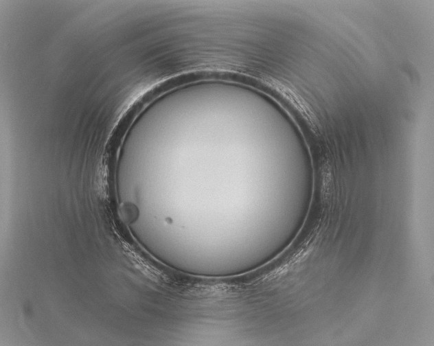 X0000115510926200911201636