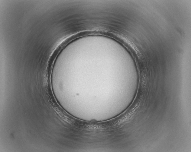 X0000115510927200911201636