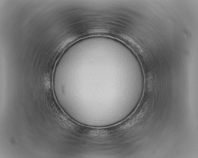 X0000115510929200911201636