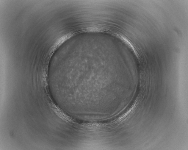 X0000115510930200911201636