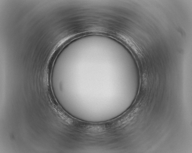 X0000115510931200911201636