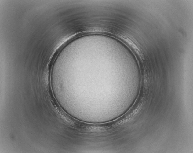 X0000115510933200911201636