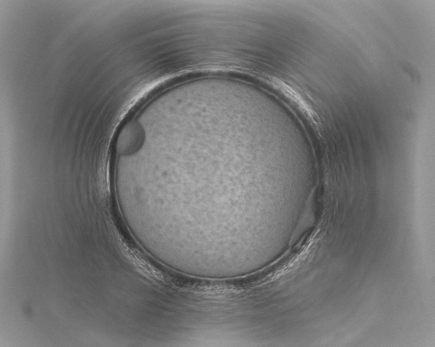 X0000115510934200911201636