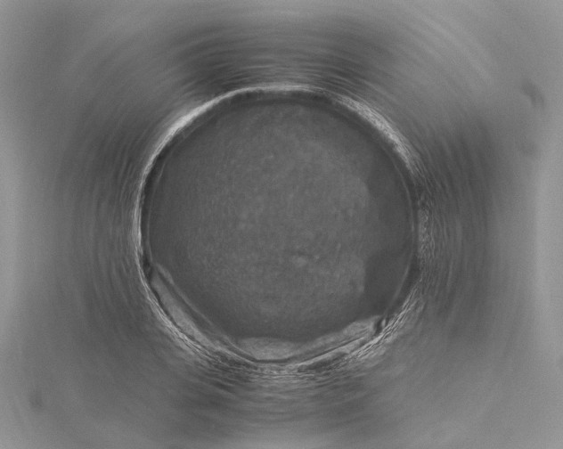 X0000115510935200911201636