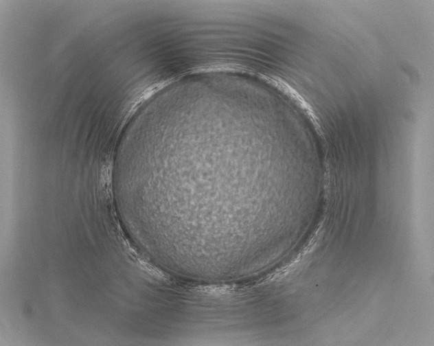 X0000115510937200911201636