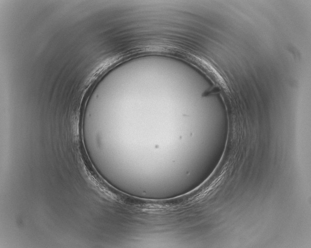 X0000115510938200911201636