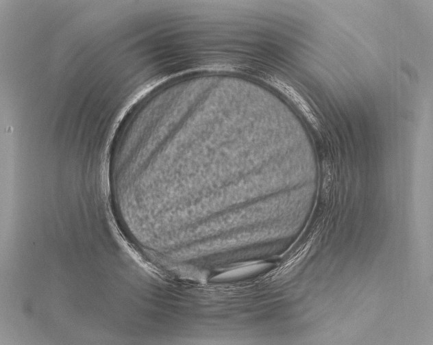 X0000115510939200911201636