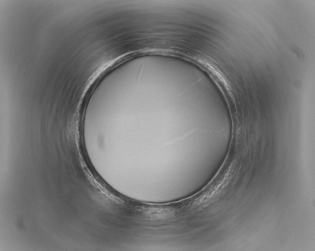 X0000115510941200911201636