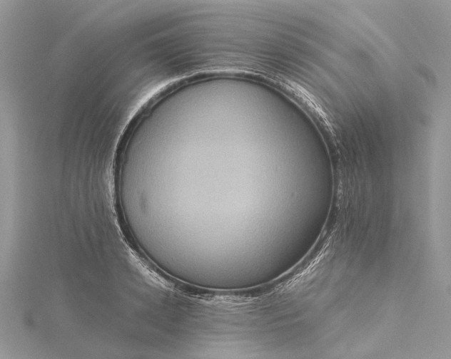 X0000115510942200911201636