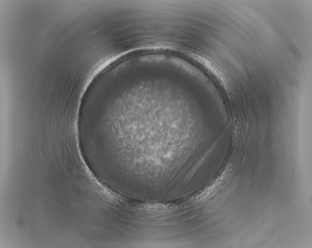 X0000115510943200911201636