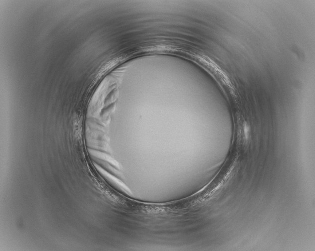 X0000115510945200911201636