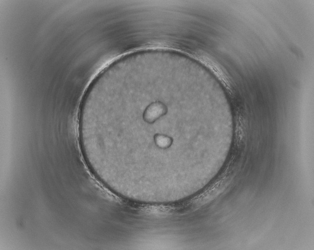 X0000115510950200911201636