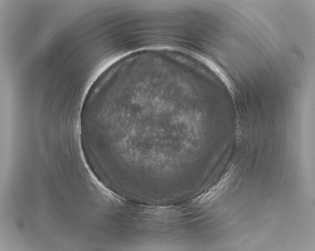 X0000115510951200911201636