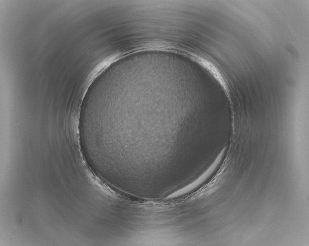 X0000115510954200911201636