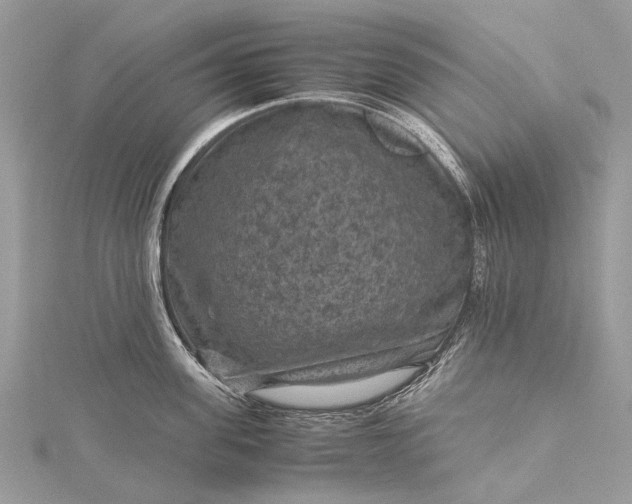 X0000115510955200911201636