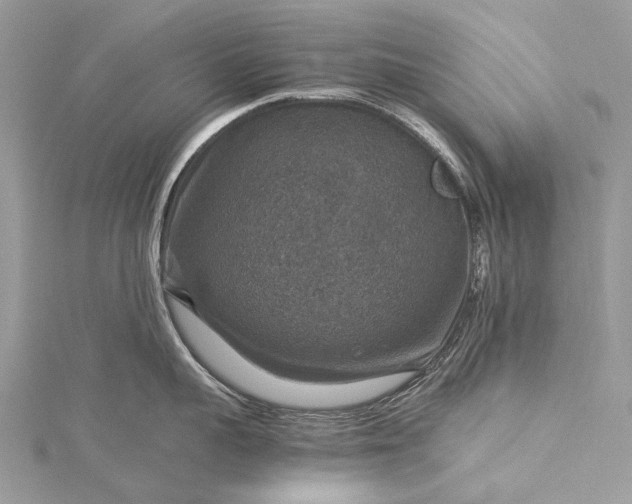 X0000115510959200911201636