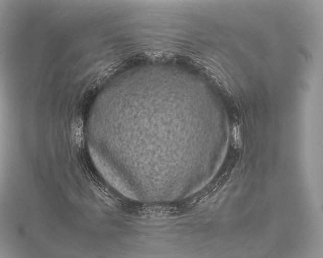 X0000115510963200911201635