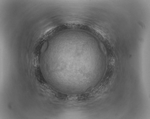 X0000115510965200911201635