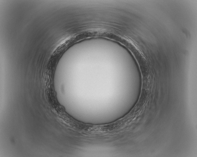 X0000115510967200911201635