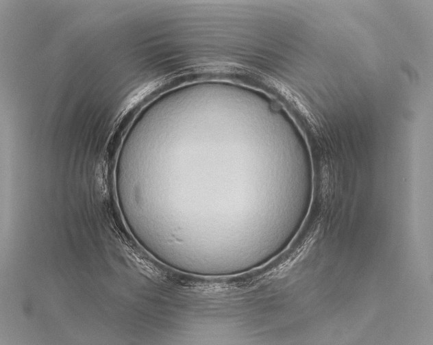 X0000115510970200911201635