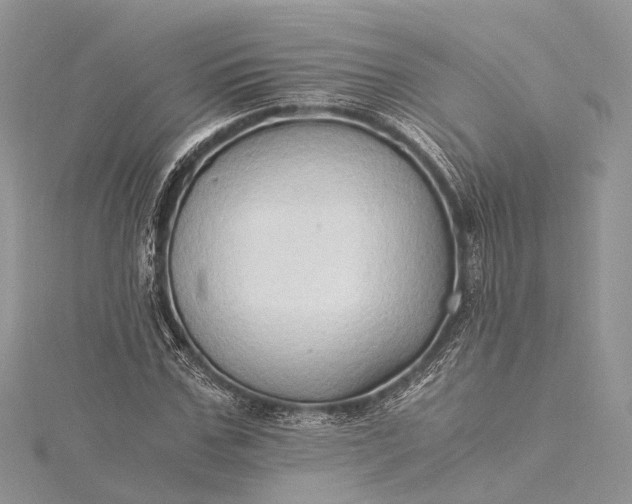 X0000115510971200911201635