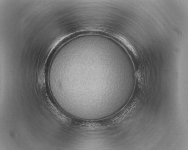 X0000115510972200911201635