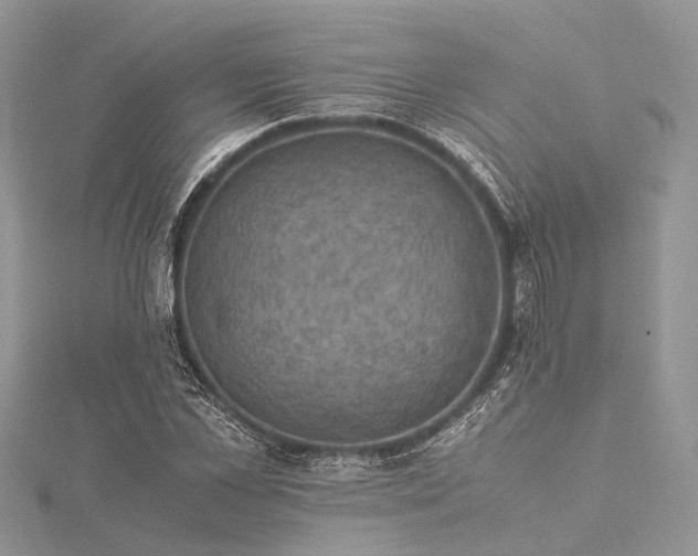 X0000115510973200911201635