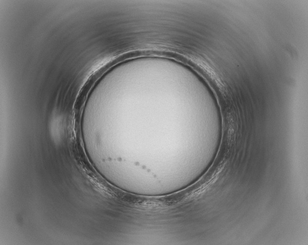 X0000115510974200911201635