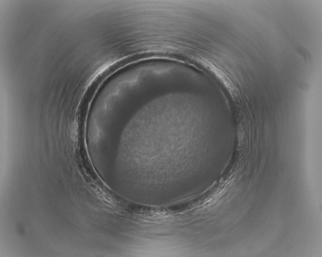 X0000115510975200911201635