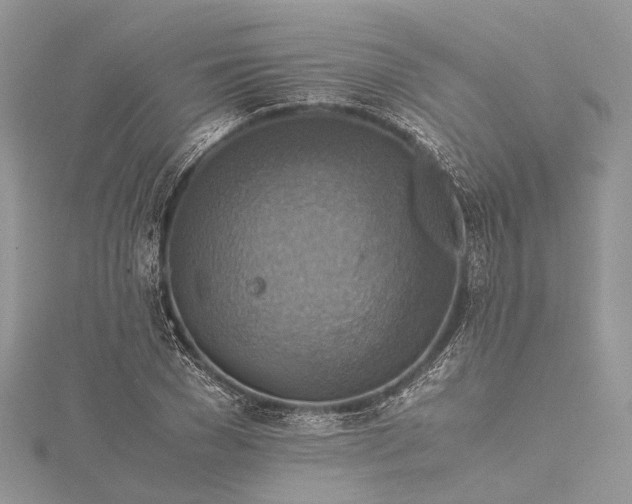 X0000115510977200911201635