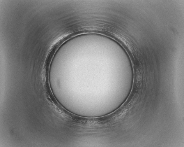 X0000115510979200911201635