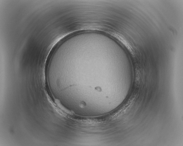 X0000115510980200911201635