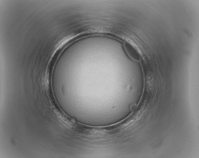 X0000115510981200911201635