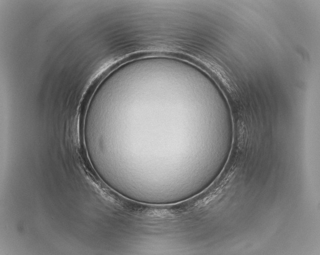 X0000115510982200911201635