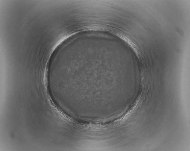 X0000115510983200911201635