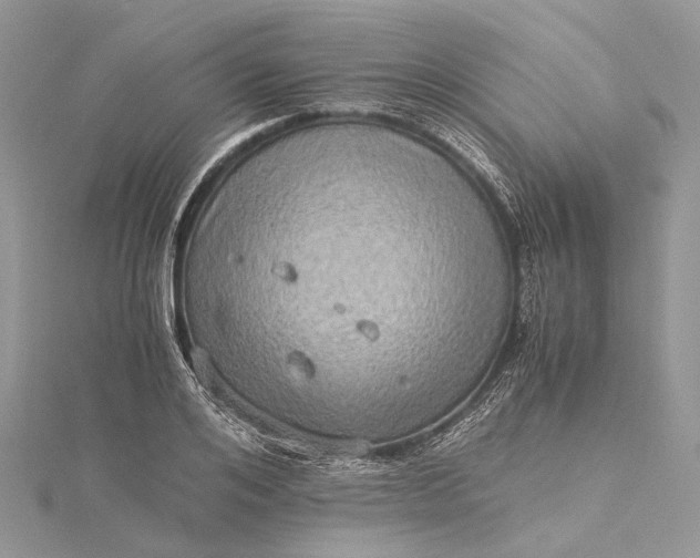 X0000115510984200911201635