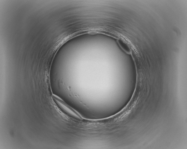 X0000115510985200911201635