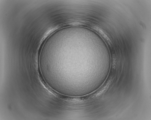 X0000115510986200911201635