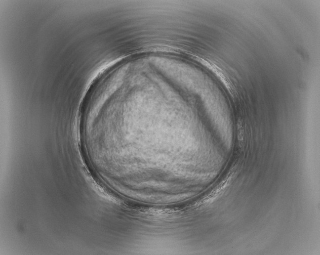 X0000115510987200911201635