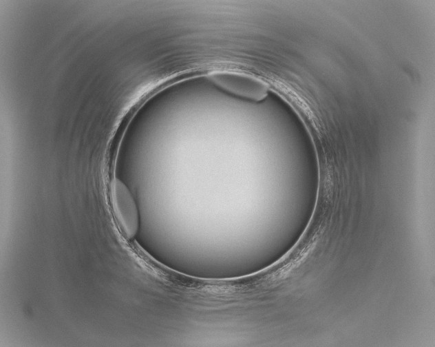 X0000115510989200911201635