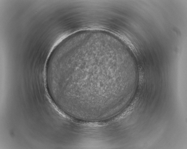 X0000115510990200911201635