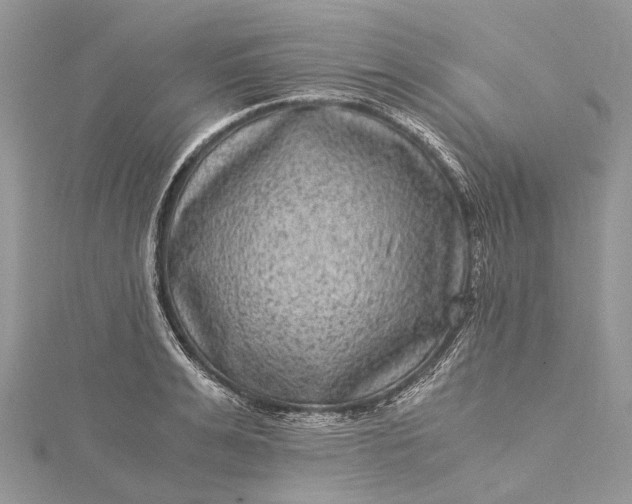 X0000115510991200911201635