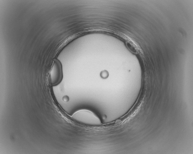 X0000115510993200911201635