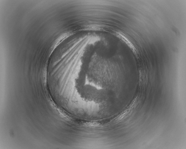 X0000115510994200911201635