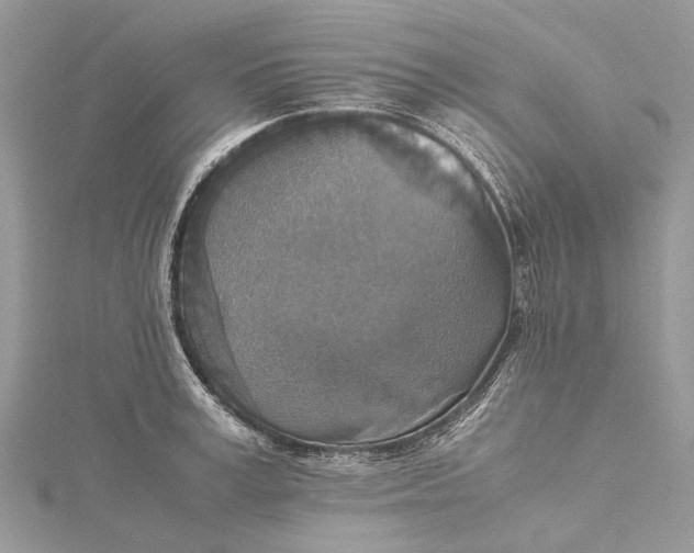 X0000115510995200911201635