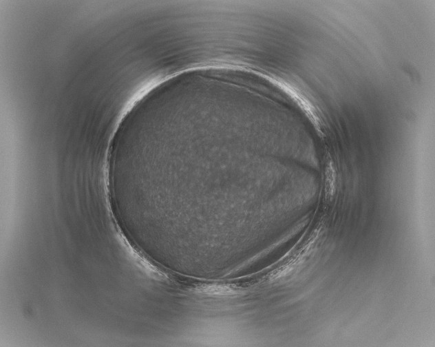 X0000115510998200911201635