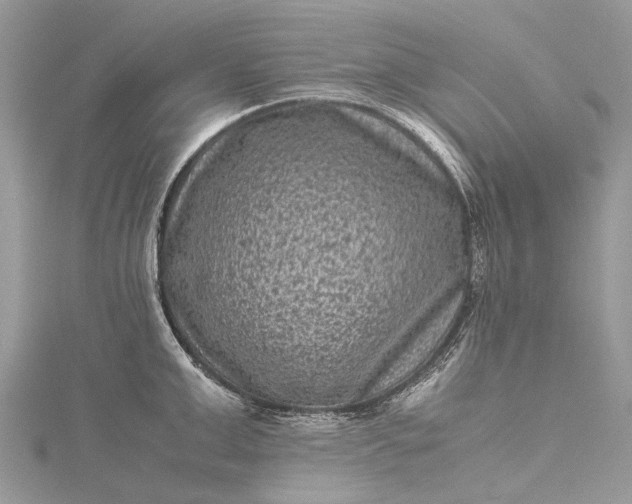 X0000115510999200911201635