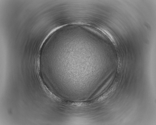 X0000115511000200911201635