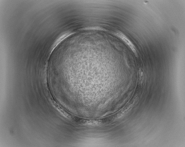 X0000115511002200911201635